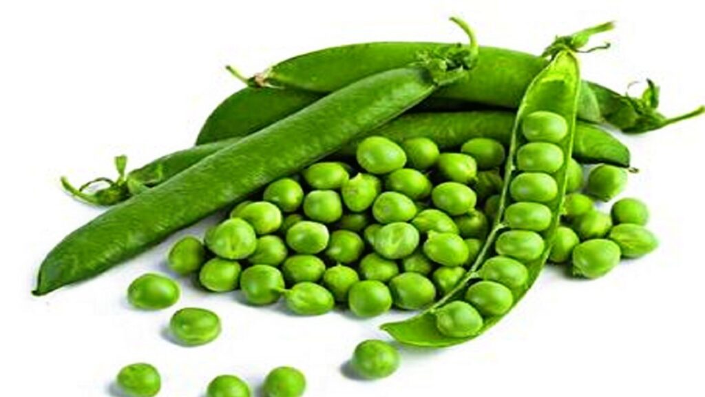 Hari Matar Hari Matar