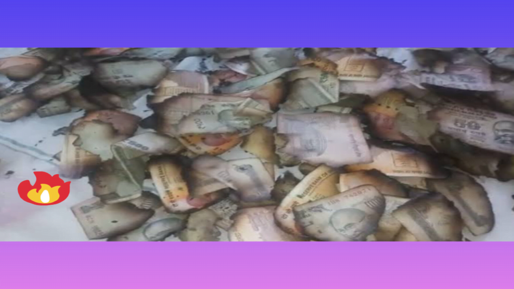 Safeimagekit resized img 2