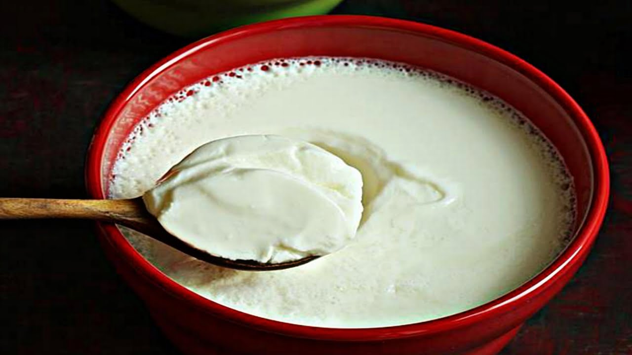 Curd Recipe