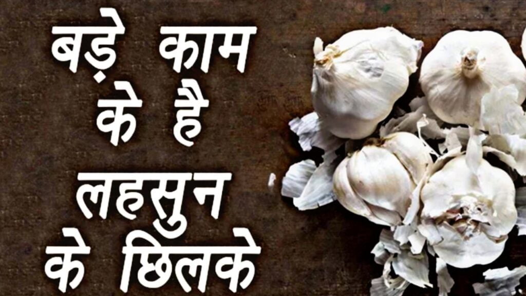 Garlic peels uses Garlic peels uses