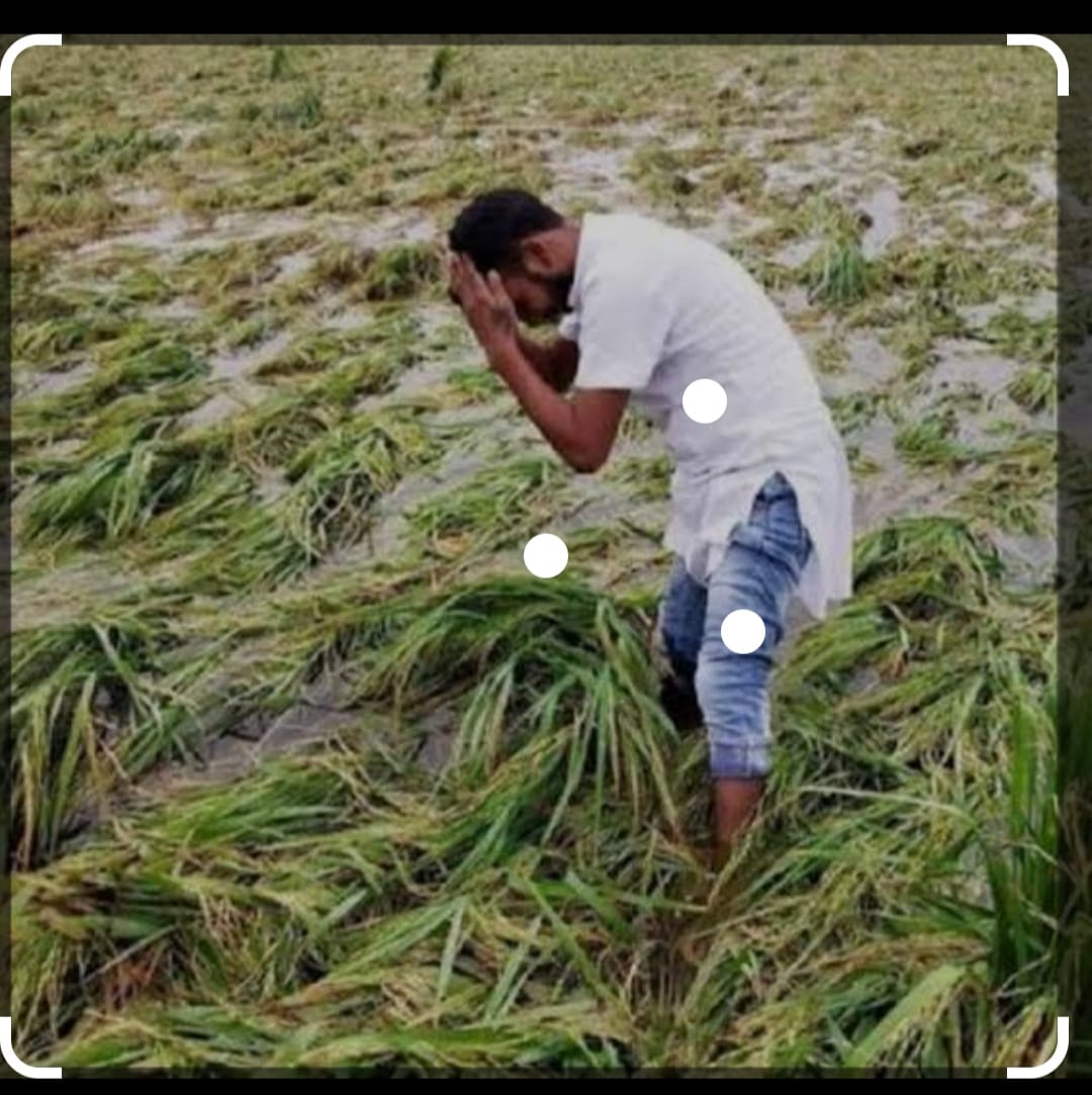 KISAN