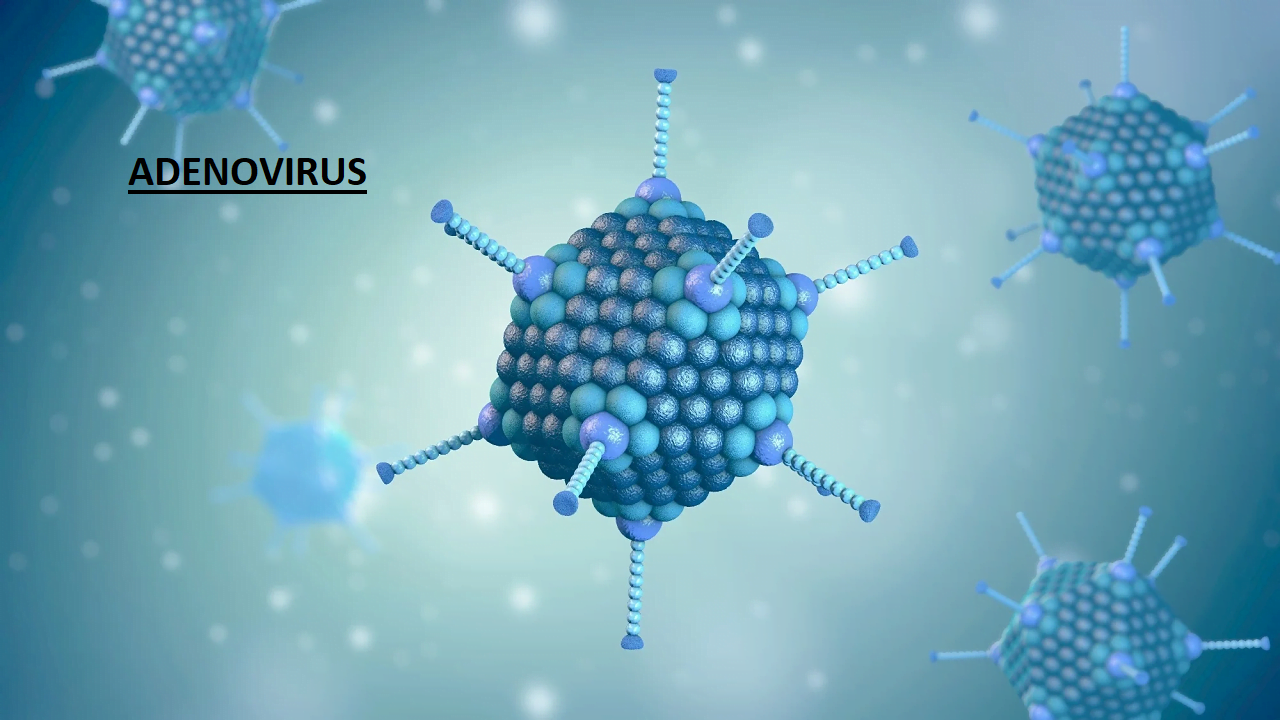adenovirus