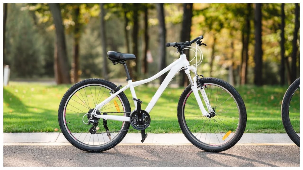 ebikes10