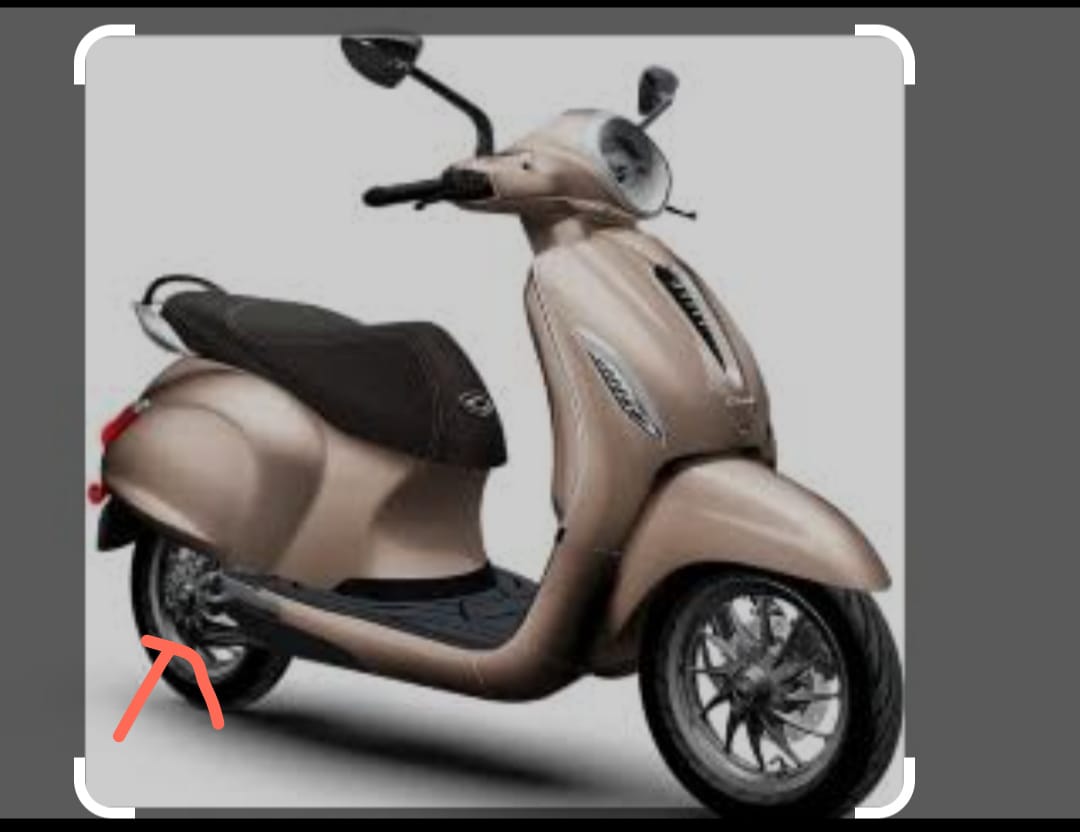 scoter