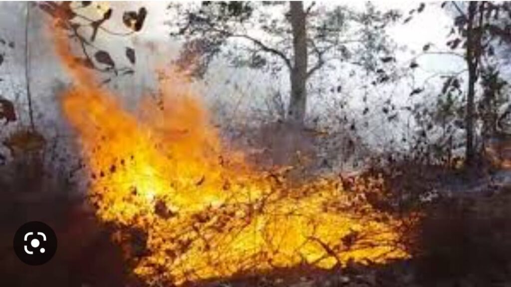 02481793 c580 46ec 87ea 49e413f7431c