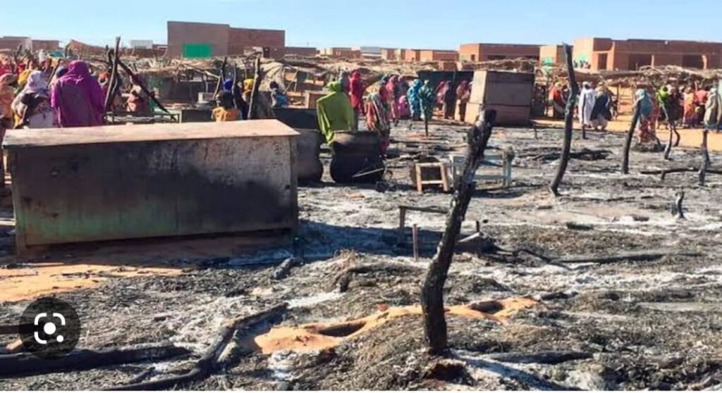 6995d61c 8169 481d a0ea bf5c29c1eb0d