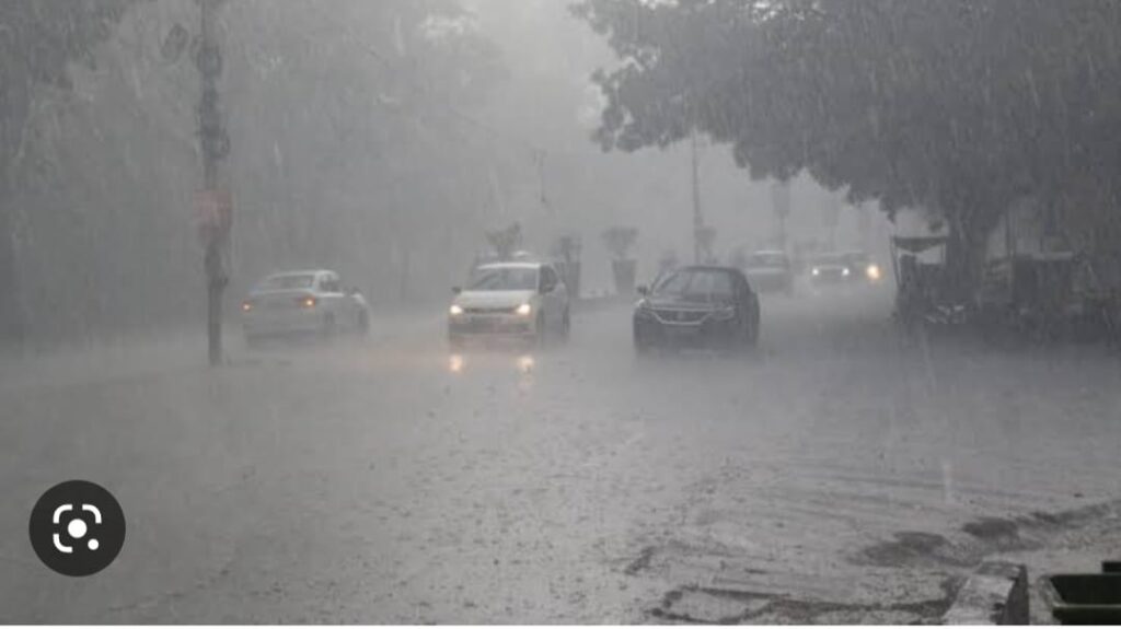 6da9ac37 f9f5 445d a63e 159a4d3cb04e