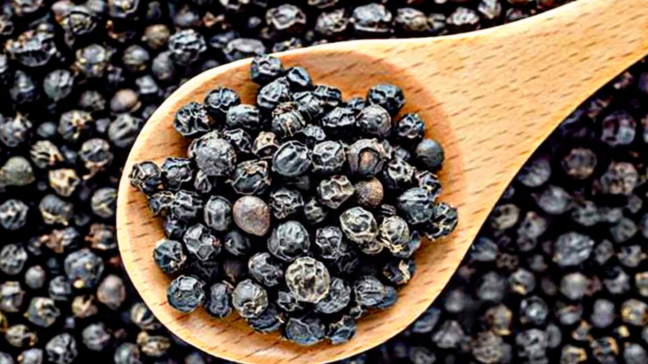 Picsart 23 04 24 18 08 47 674