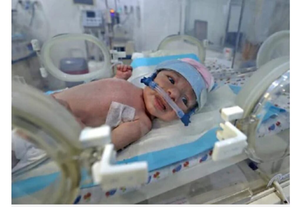 WhatsApp Image 2023 04 09 at 1.40.49 PM WhatsApp Image 2023 04 09 at 1.40.49 PM