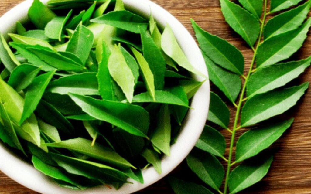 WhatsApp Image 2023 04 09 at 12.19.59 PM