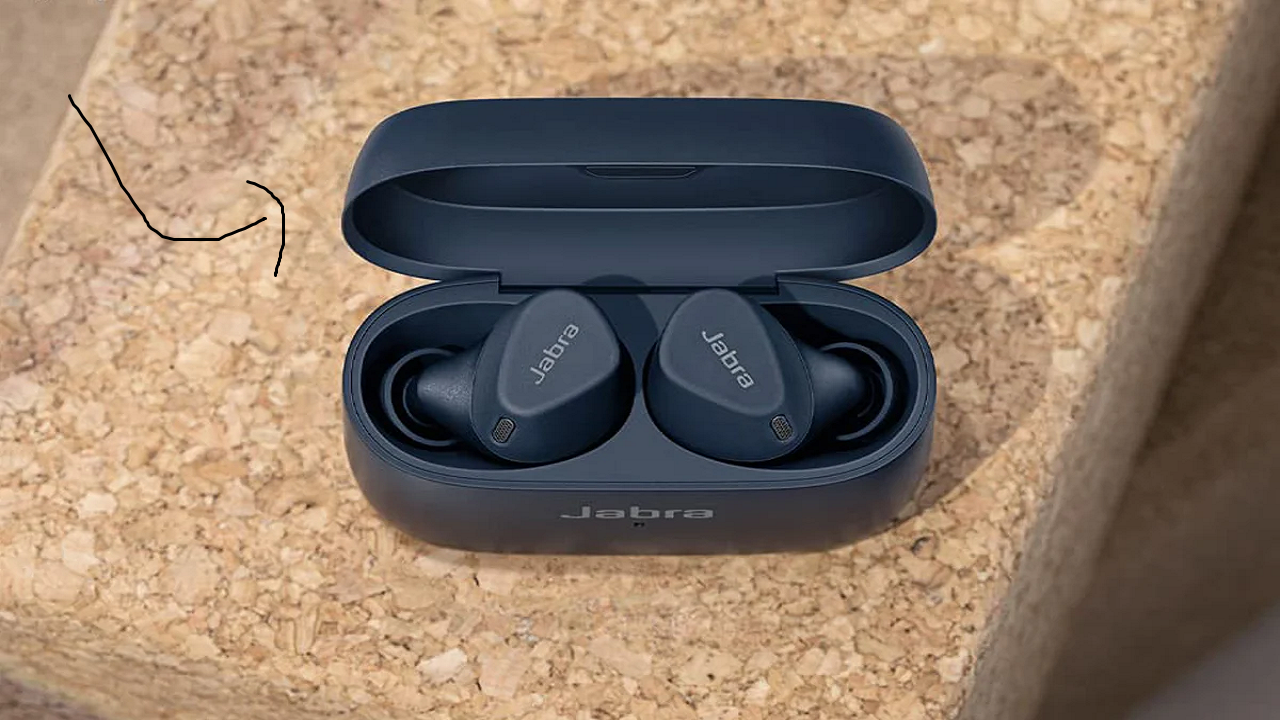 ear bud