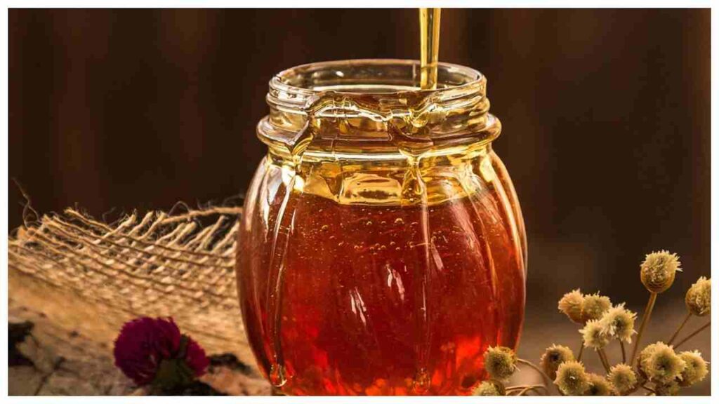 hometir123 hometir123