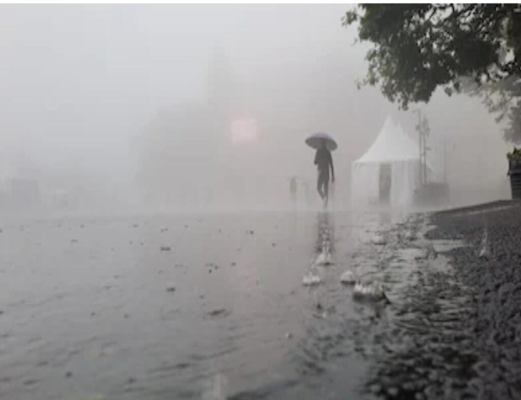 1685337483997 1685337483997