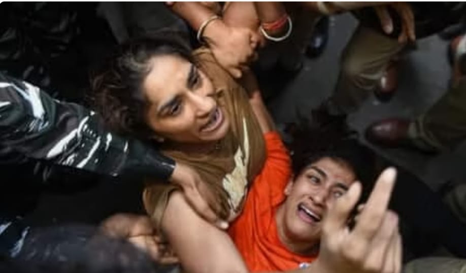 1685347987533 1685347987533