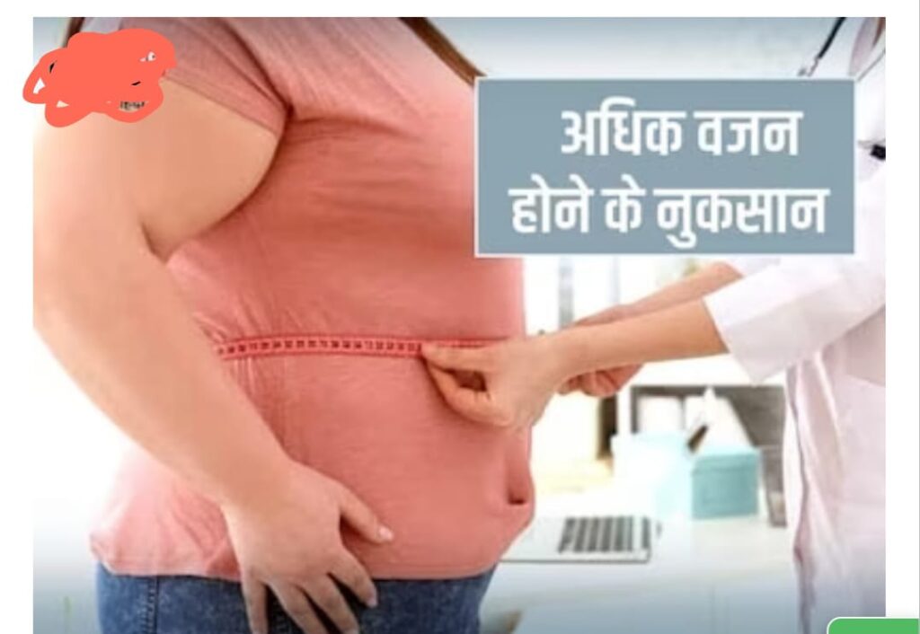 6f007978 bafa 4eed acba 79efd46db731 6f007978 bafa 4eed acba 79efd46db731