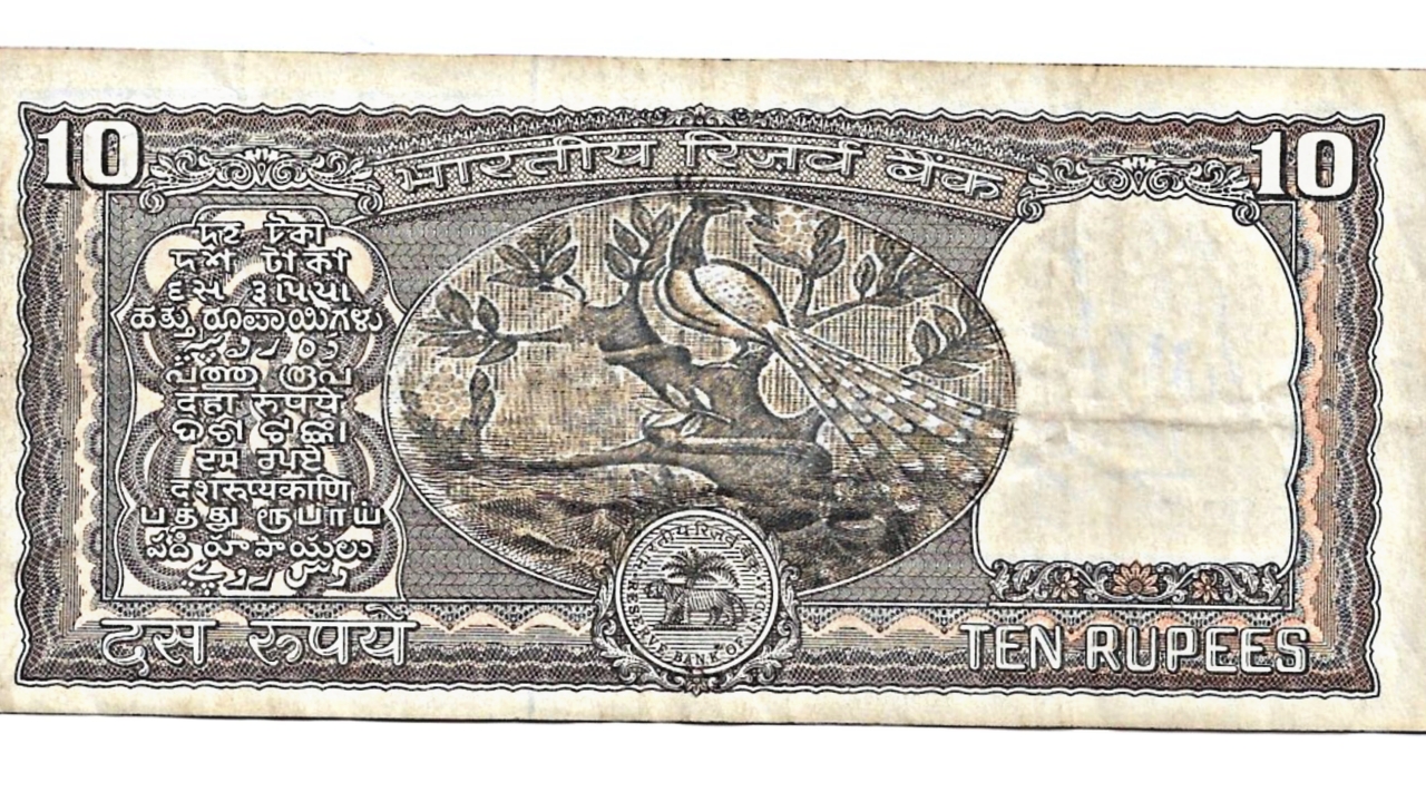 Picsart 23 05 11 18 13 53 928