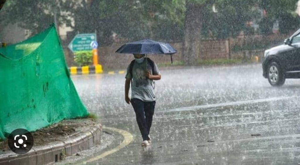 WhatsApp Image 2023 05 03 at 11.03.50 AM