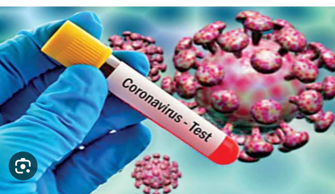 WhatsApp Image 2023 05 13 at 5.37.21 PM