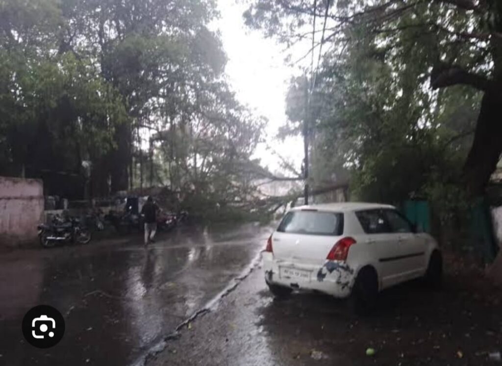 WhatsApp Image 2023 05 18 at 12.46.45 PM WhatsApp Image 2023 05 18 at 12.46.45 PM