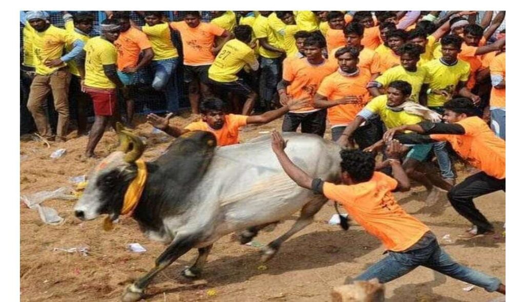 WhatsApp Image 2023 05 18 at 3.03.21 PM