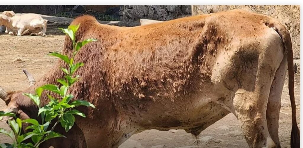 c04ca1aa 7564 46a4 8a2f 5c24392eff15