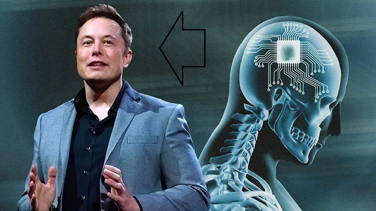 elon musk neorolink