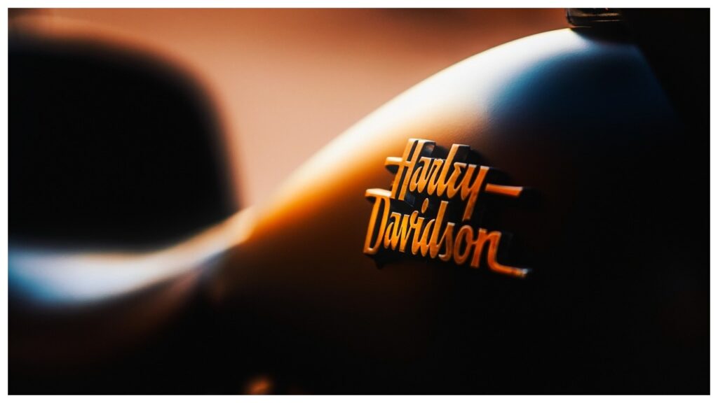 ghtyrtdfhfhfkkhh ghtyrtdfhfhfkkhh