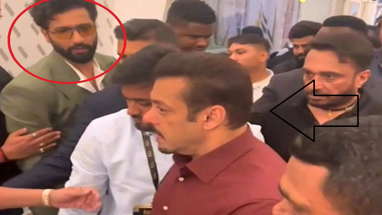salman vicky