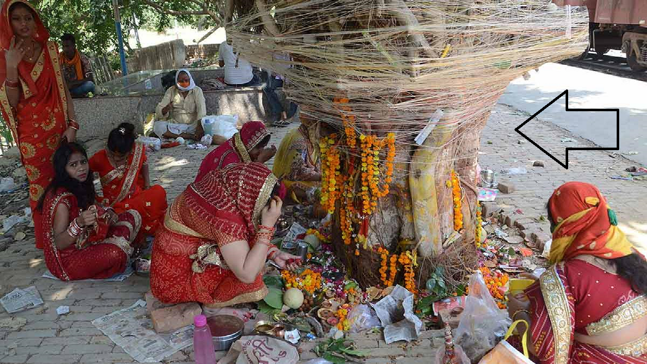 wat savitri