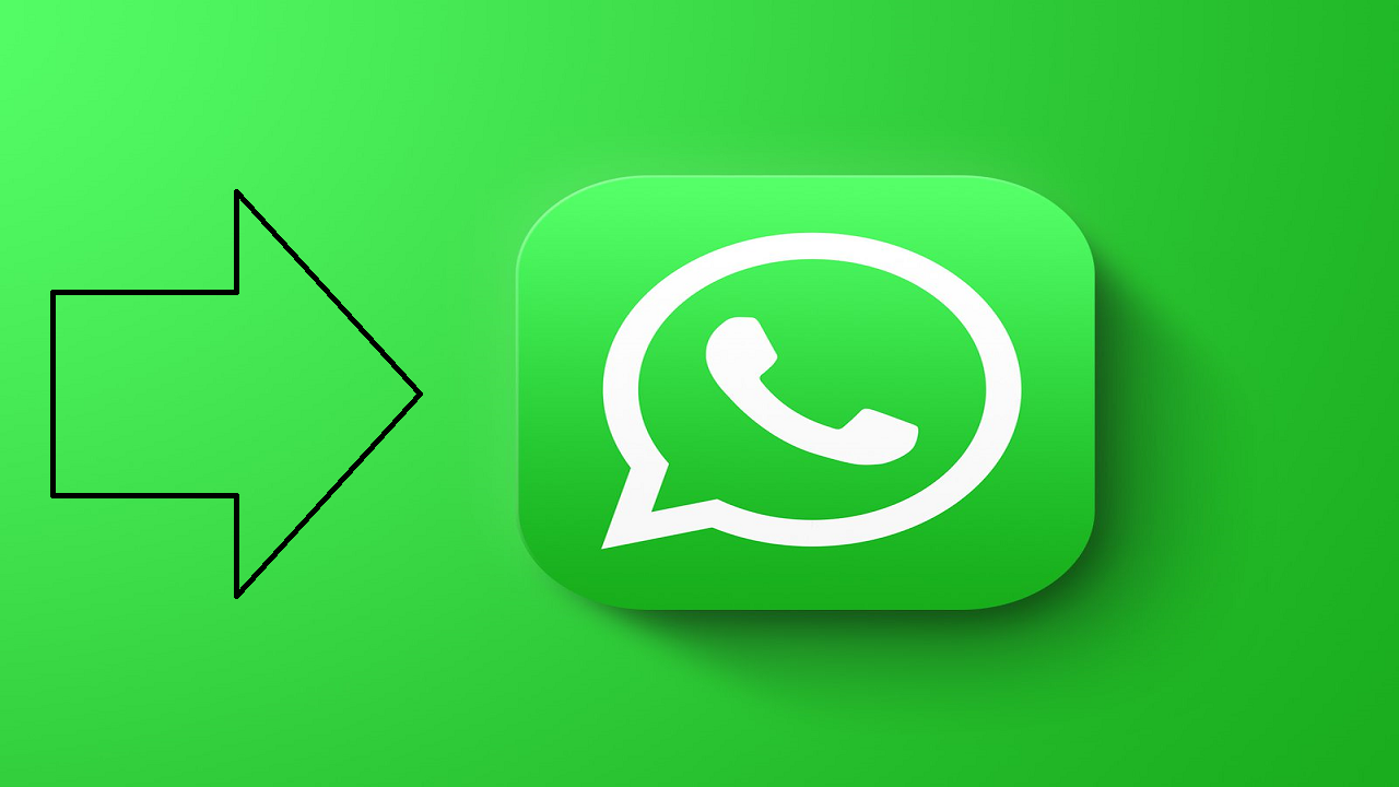 watsapp 1