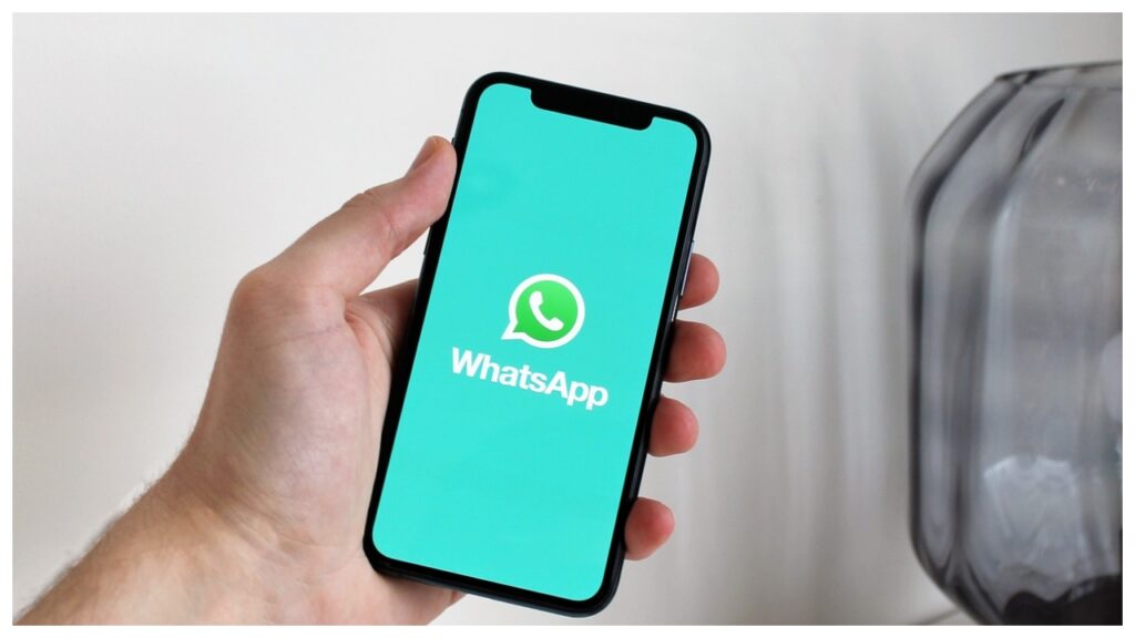 whatsfdgfhjk whatsfdgfhjk