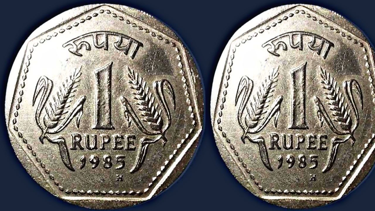 Picsart 23 06 01 10 48 25 464