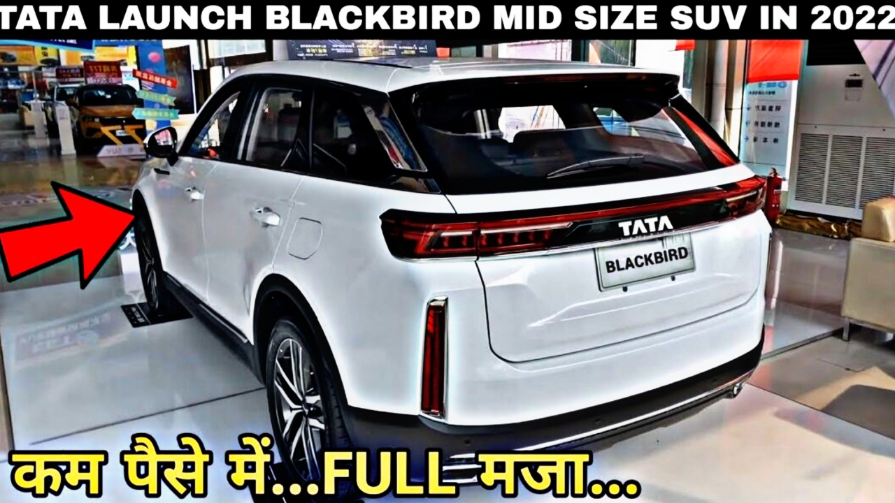 Picsart 23 06 05 15 28 29 285