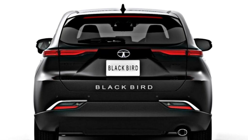 Picsart 23 07 01 13 45 33 081