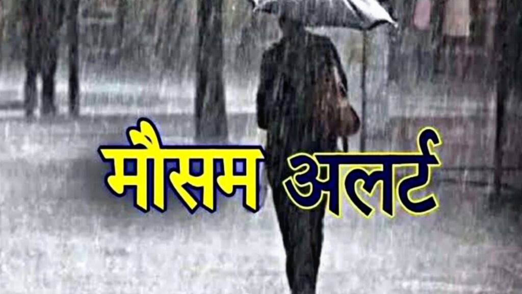 Picsart 23 07 13 14 42 36 819 Picsart 23 07 13 14 42 36 819