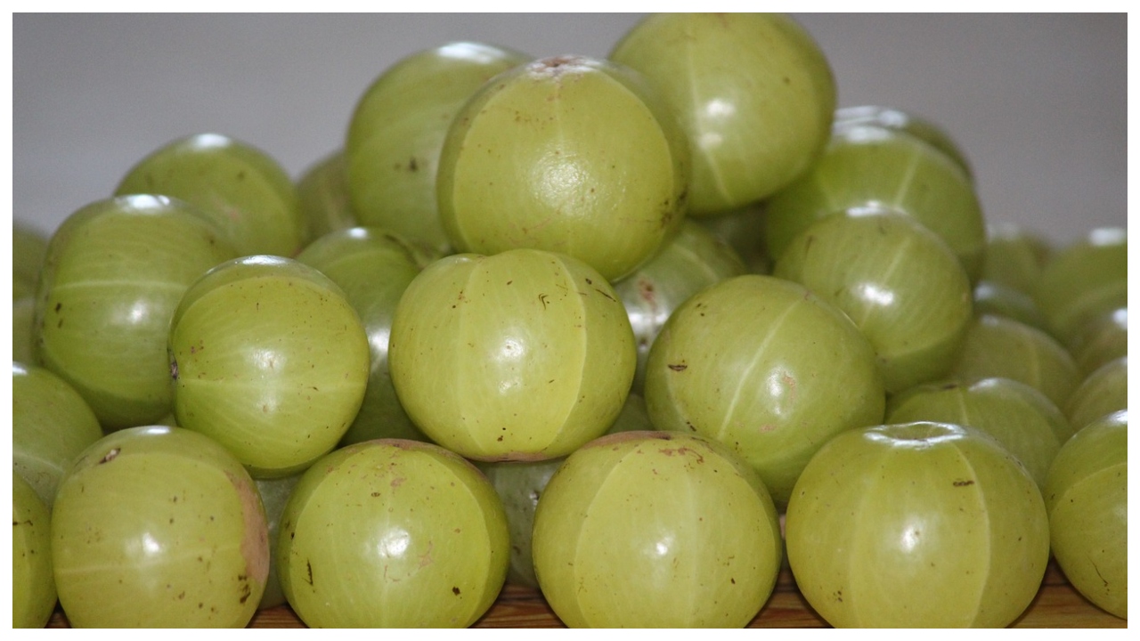 amla