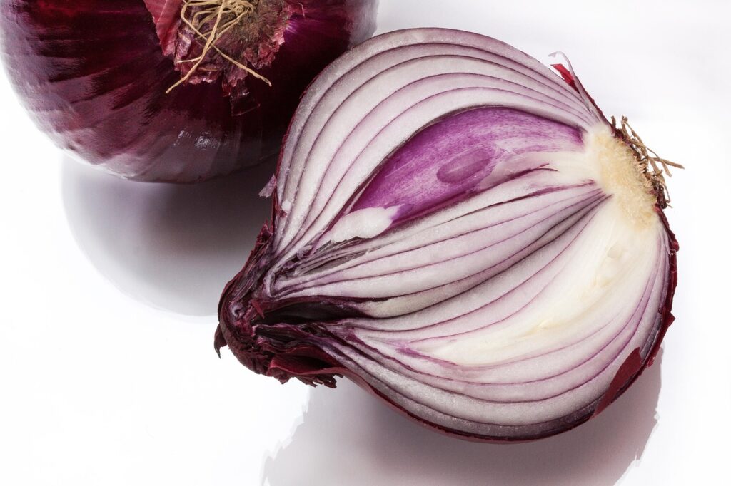onion ga1bfd2a1e 1280 onion ga1bfd2a1e 1280