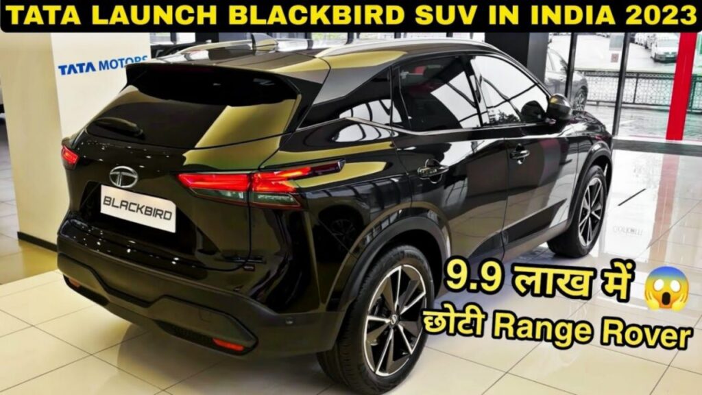 Picsart 23 08 11 13 02 53 214 Picsart 23 08 11 13 02 53 214