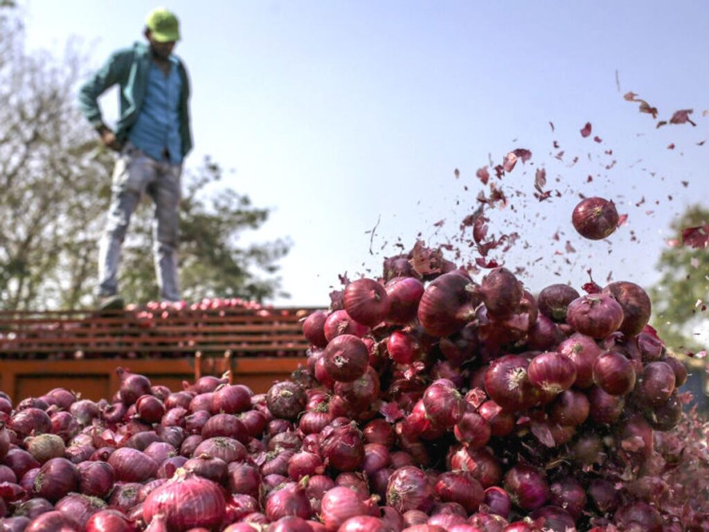 onion 730 1 1575601049 onion 730 1 1575601049