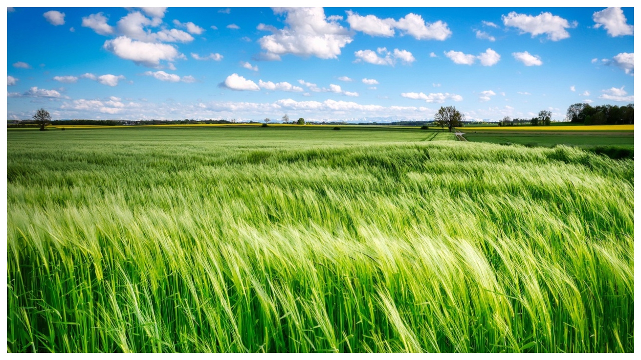 Government Scheme For Farmers