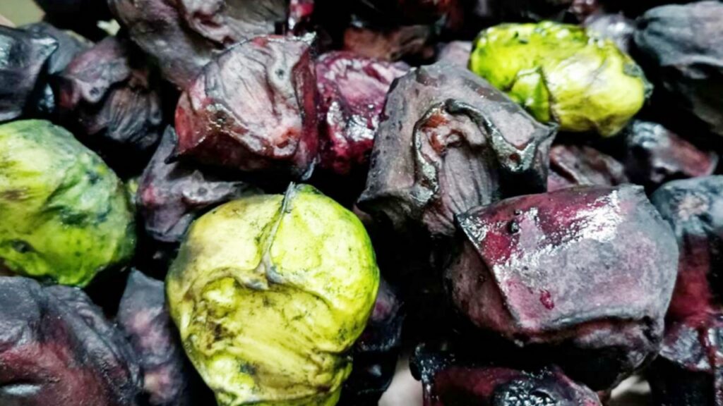 Picsart 23 09 20 18 01 35 986