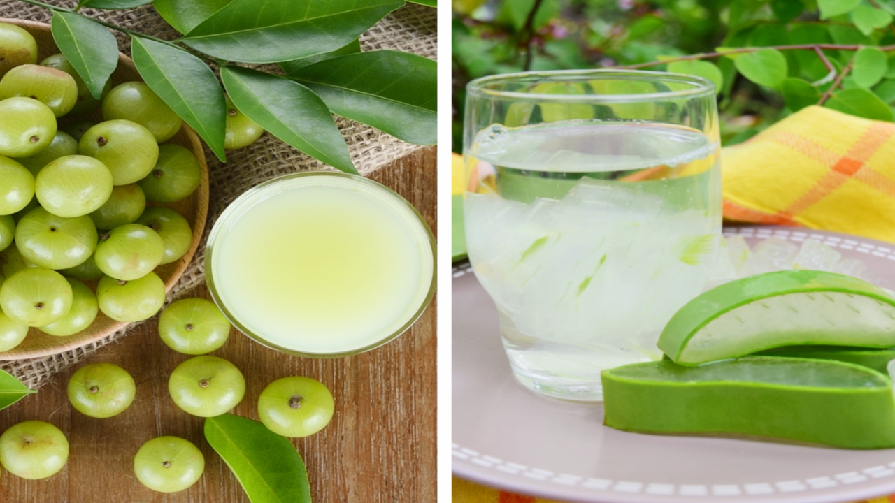 Picsart 23 09 22 17 32 19 380