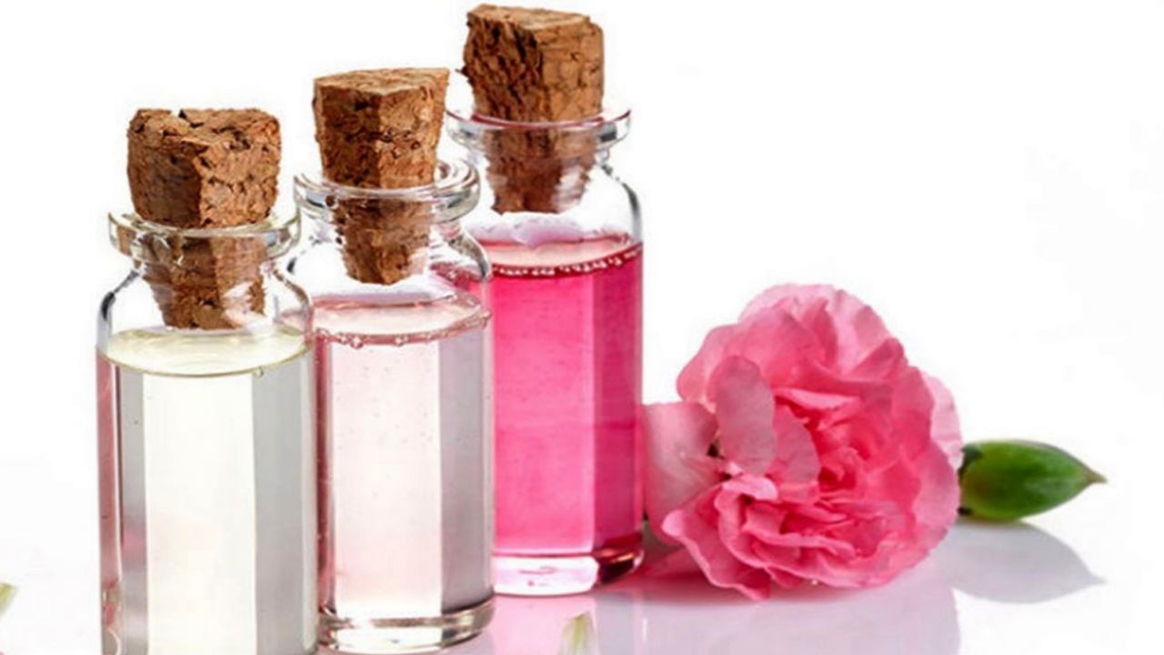 Picsart 23 09 22 17 44 37 267