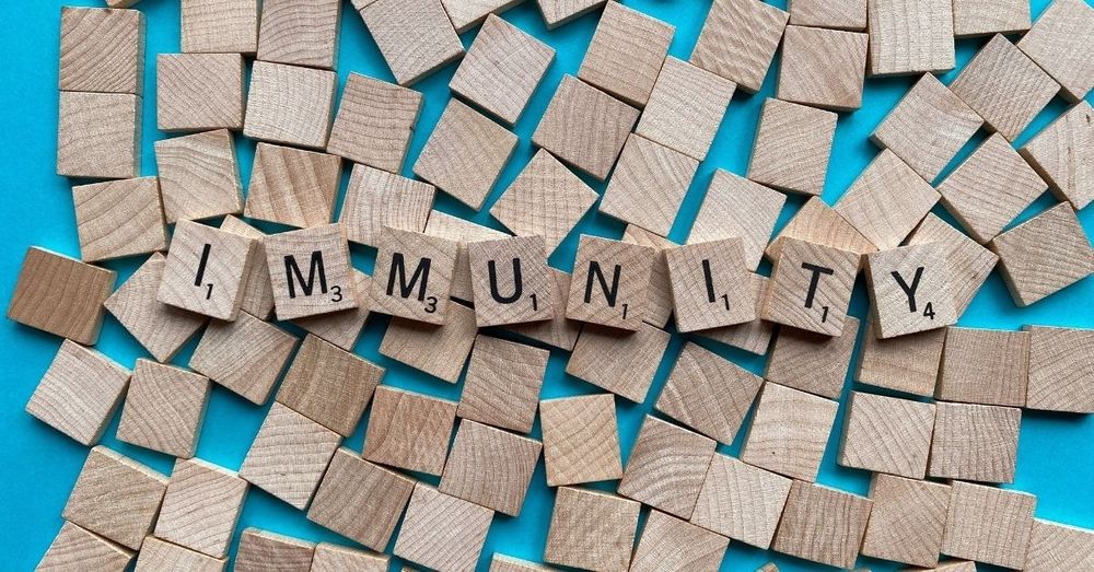 Untitled design 2022 02 14T114742.583 11zon Untitled design 2022 02 14T114742.583 11zon