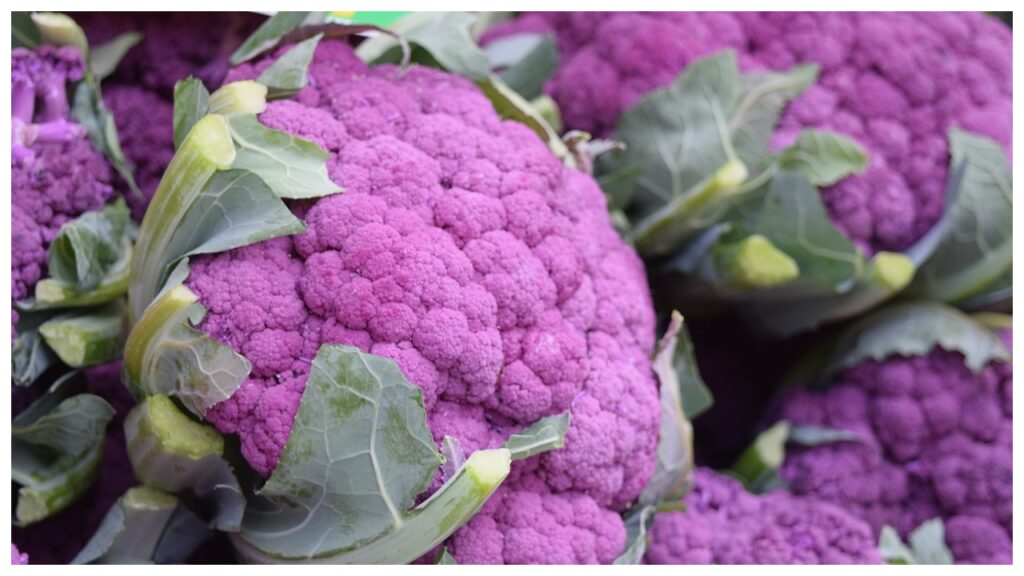 colourful cauliflowers