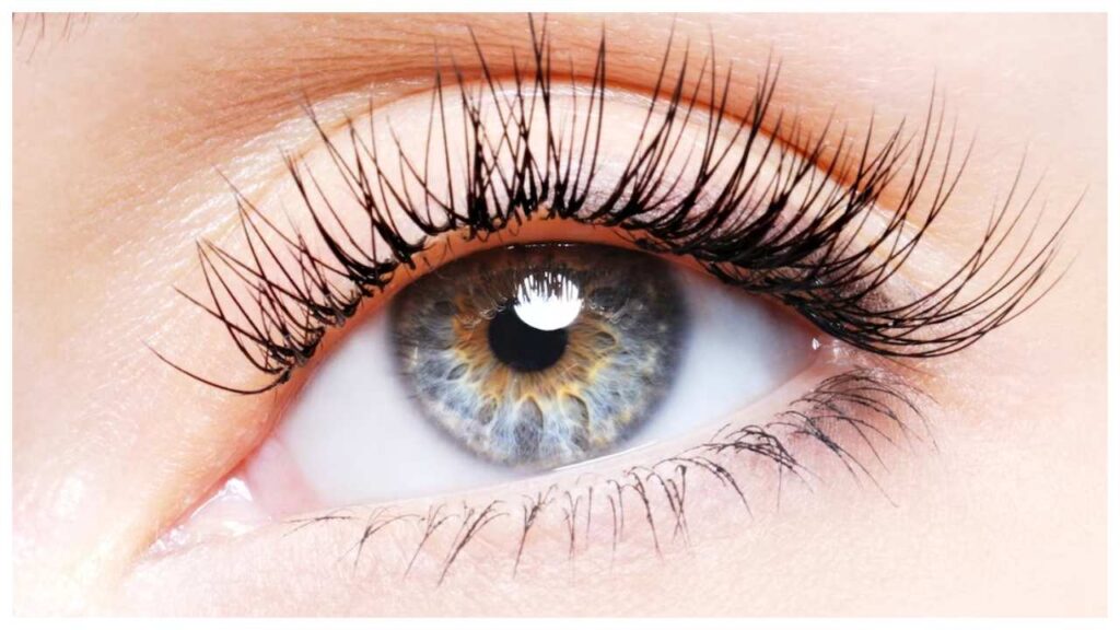 eyes eyes