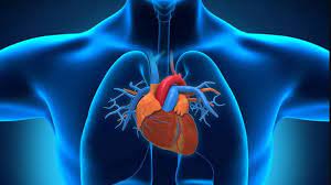 images 14 1 images 14 1