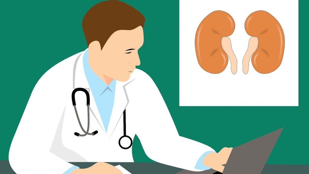 Ayurvedic Tips For Kidney Health