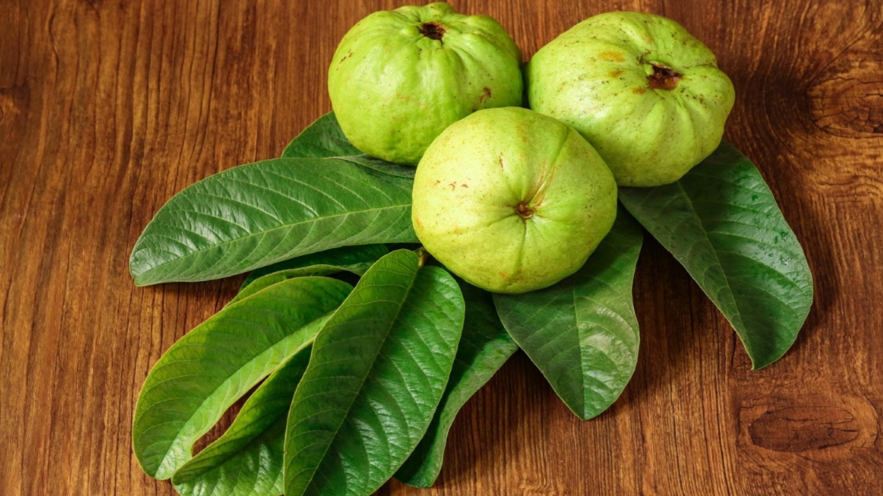 Picsart 23 10 05 17 02 23 154