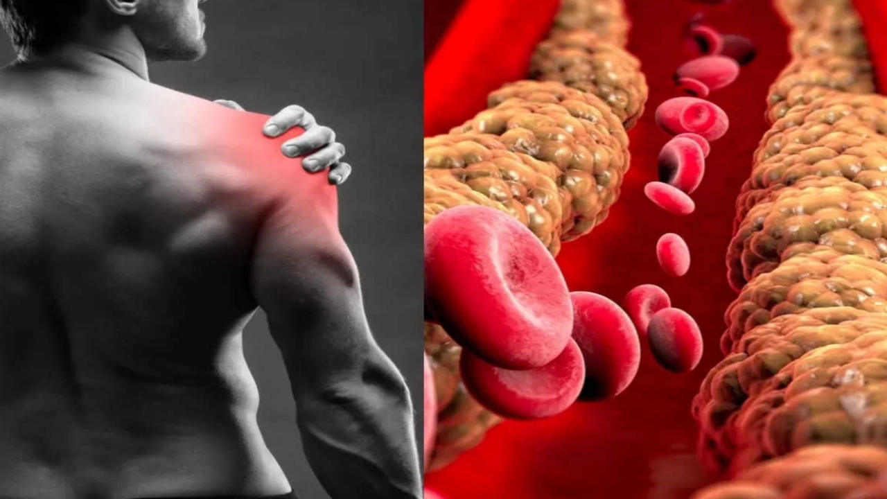 Picsart 23 10 05 17 33 05 260